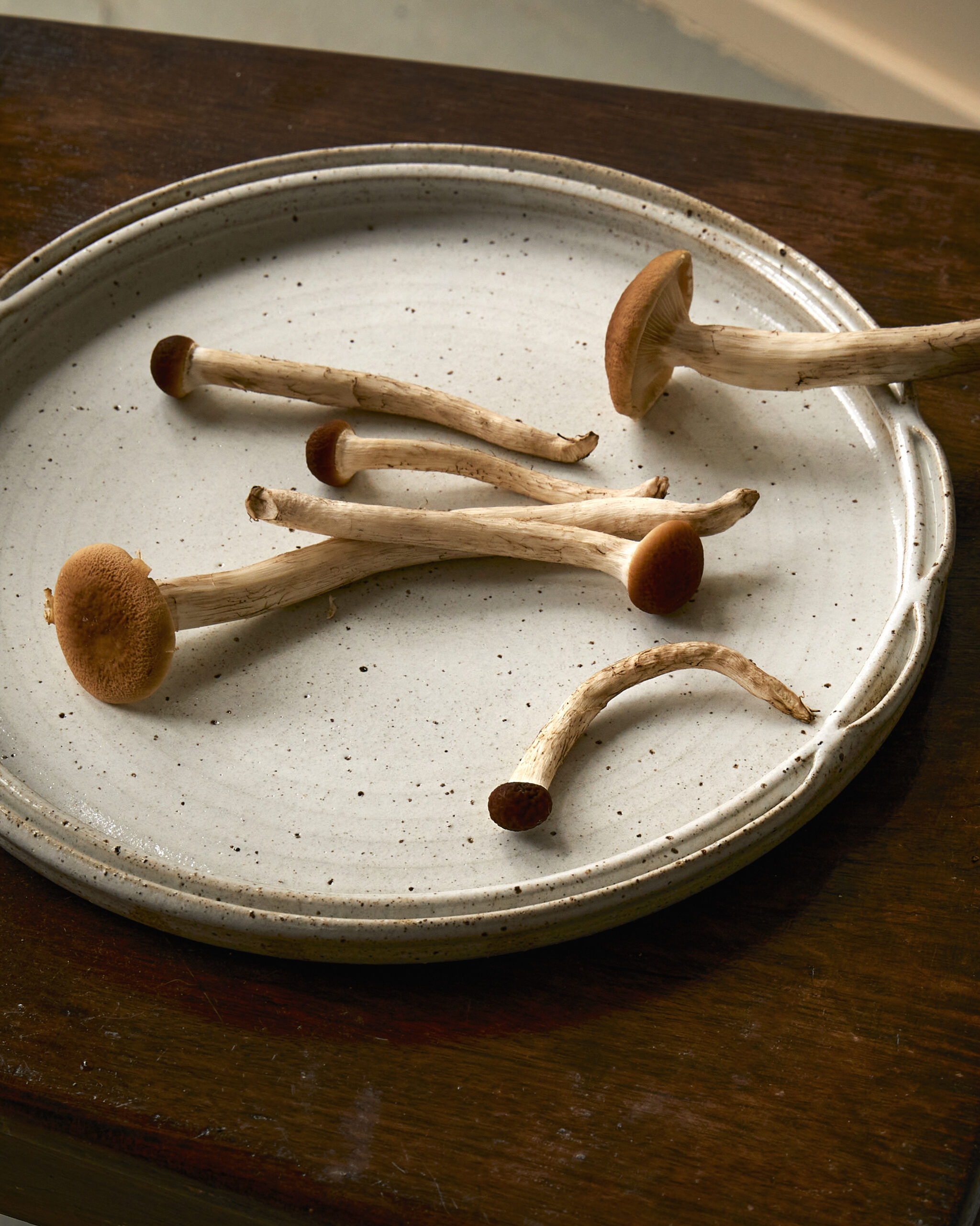 Decorative Throwing Short Course | April 12th & 19th - Image 4